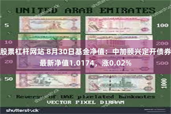 股票杠杆网站 8月30日基金净值：中加颐兴定开债券最新净值1.0174，涨0.02%