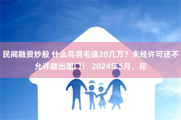 民间融资炒股 什么鸟羽毛值20几万？未经许可还不允许踏出国门！ 2024年5月，在