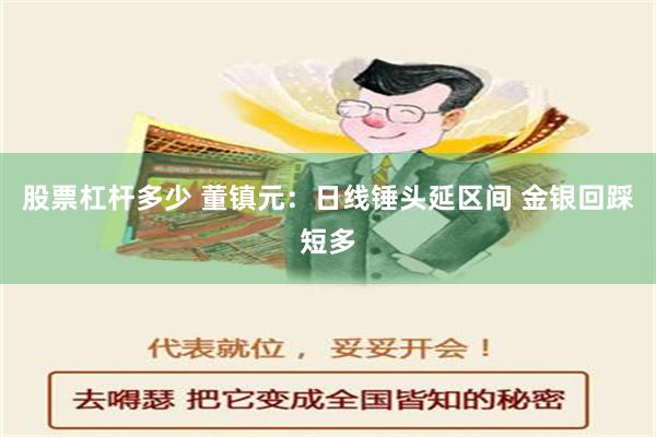 股票杠杆多少 董镇元：日线锤头延区间 金银回踩短多